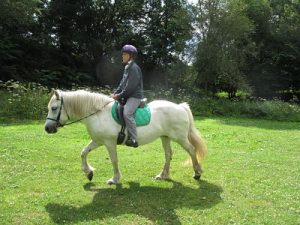 Pony riding with Alexander Technique