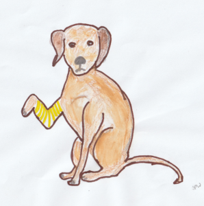 Cartoon image of a dog with an injured paw