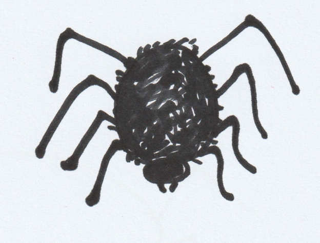 Cartoon image of a spider