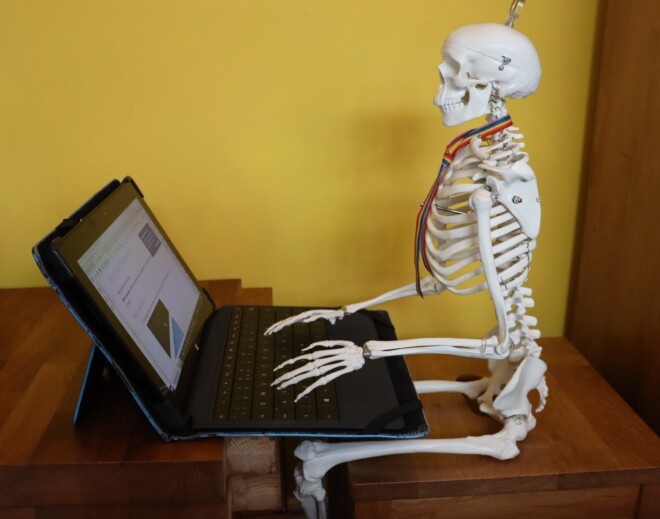 Model skeleton sitting with poise and typing at a laptop