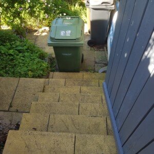 Photo of recycling bin at the bottom of my garden steps